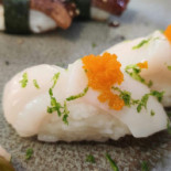 Katsuo Cibo