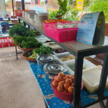 ข้าวแกงขนมจีนเจ๊จิตร Cibo