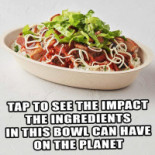 Chipotle Mexican Grill Cibo