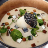 Sterenn Cibo