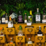 Tonic Cibo