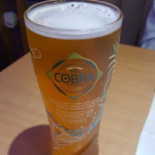 Akbar Cibo