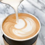 Second Cup Café Cibo