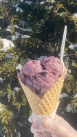 Rich Farm Ice Cream Brookfield food