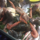 Scioscio Cibo