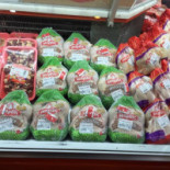 Çelikoğlu Ocakbaşı Cibo