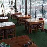İremnur Cibo