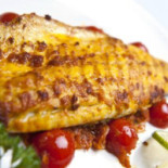 Shampan Welling Cibo