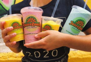 Juiceland Palm Way food