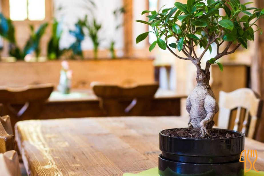 restaurant image