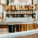 Field Brewing Cibo