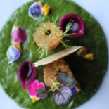 Ananda Cibo