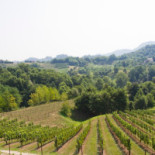Ca' Corniani Cooperativa Sociale Nourriture