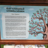 Pityerszeri Csárda menu