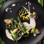 Mint Mark Cibo