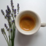 Boris Home Coffee House For Friends food