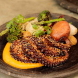 Vesica Tulum Cibo