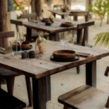 Vesica Tulum Cibo