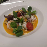 Zuccafish food