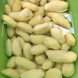 Πρέπον Cibo