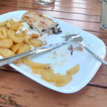 Bachus Cibo