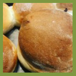 Toasted Cibo