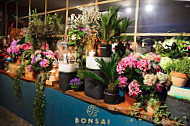 Bonsai Sushi Lounge inside