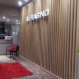 Il Ragno Dentro
