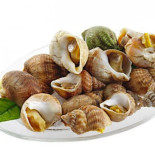 Pesce Crudo E Plateau Royal By San Pietro Milano inside