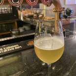 Singular Cibo