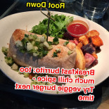 Den Root Down Tc Cibo