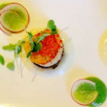 Snapper Co. Cibo