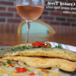 Farm Table Cibo