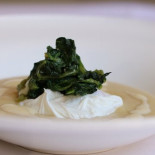 Don Eusebio Cibo