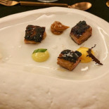 Intensus Cibo