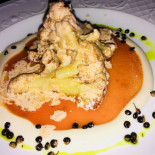 Eucalyptus Cibo