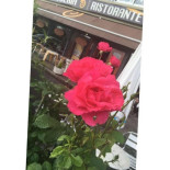 Caffe L'inverso Outside