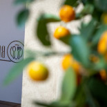 Surreale Cibo