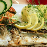 Samowar Cibo