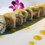 Aria Cibo