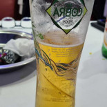 Dolphin Cibo