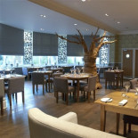 Arbor Cibo