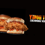 Hardee's Cibo