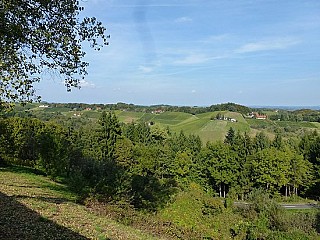 Erikas Buschenschank