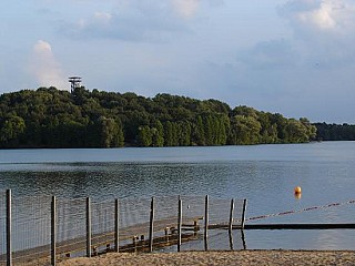 Cafe Restaurant Wolfssee