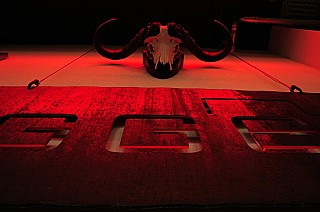 GG6