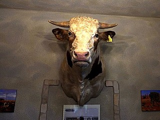 Die Ranch