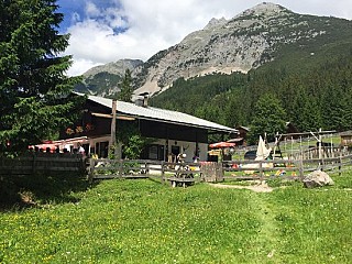 Tillfuss Alm