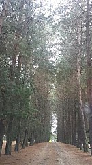 La Caballeriza