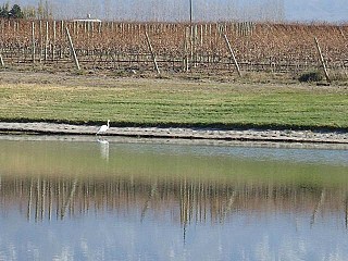 Domaine Bousquet - Restaurante Gaia